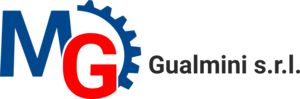 Logo-ERP-mg-gualmini
